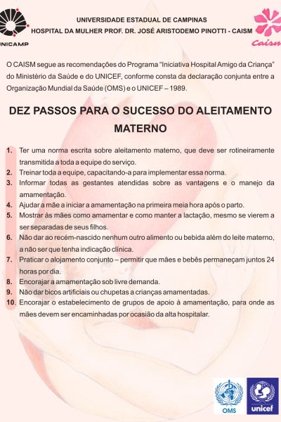 IHAC - DEZ PASSOS PARA O SUCESSO DO ALEITAMENTO MATERNO_page-0001