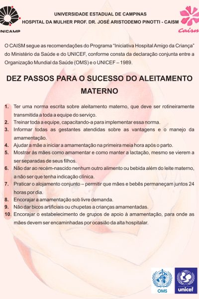 IHAC - DEZ PASSOS PARA O SUCESSO DO ALEITAMENTO MATERNO_page-0001